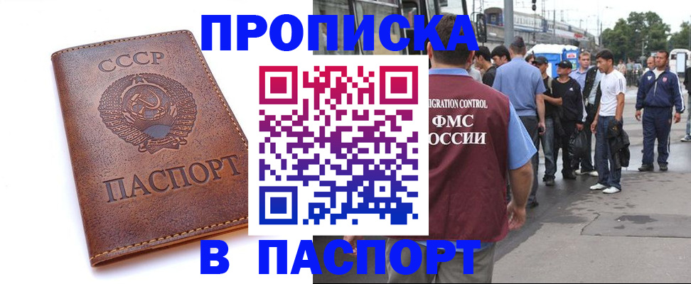 временная регистрация поиск в Купино